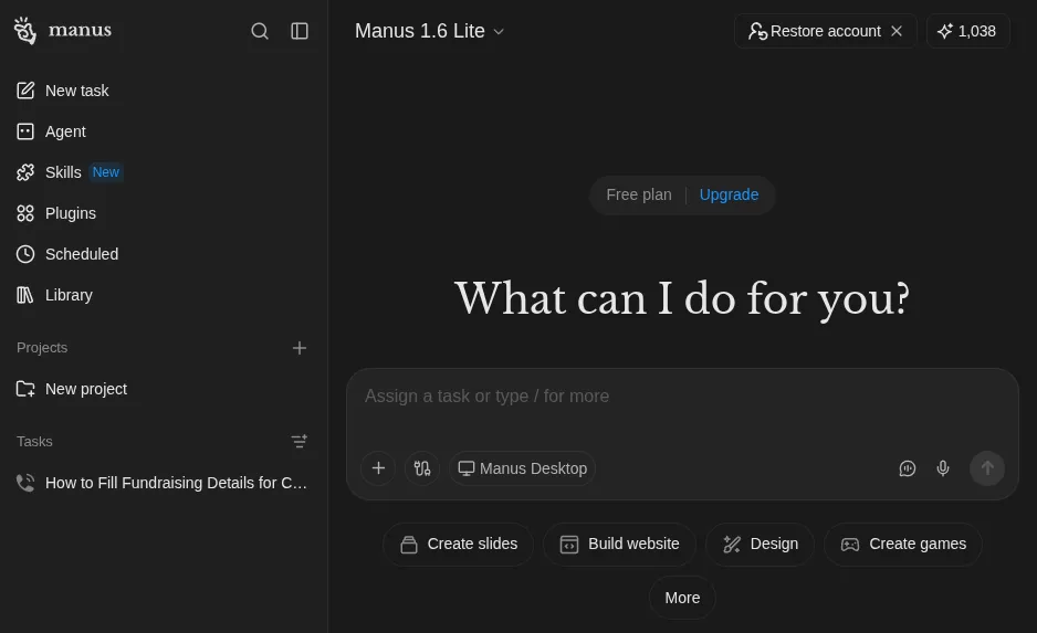 Manus AI prompt